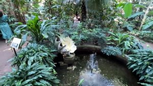 Прогулка по оранжереи Ботанического сада Петра Великого || Прогулки в Петербурге