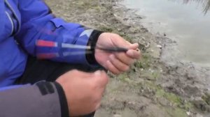 Рыбалка на карася. My fishing