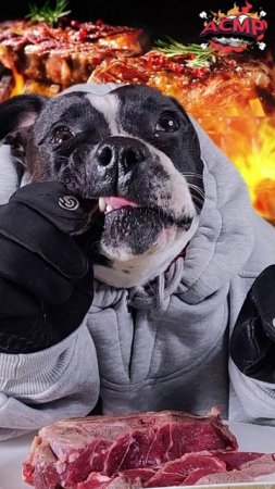 Моя собака — АСМР-звезда (и она этого не знает) 🥩🐶 #стаффи #говядина #стейк #мясо #asmr #звуки