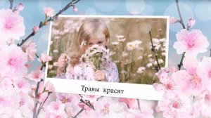 Дети и ромашки