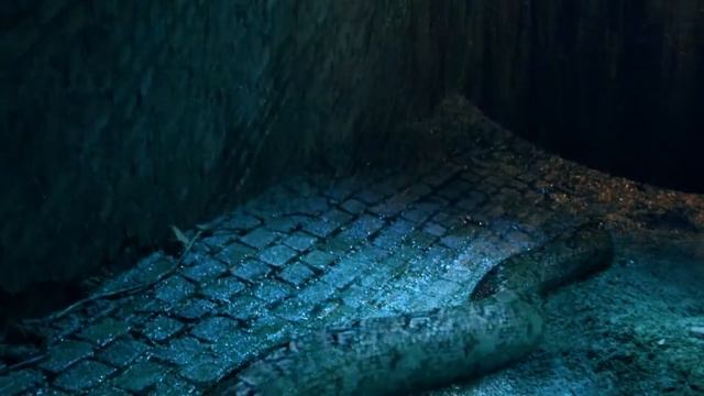 Питонья яма смотреть онлайн