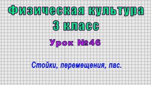 Физическая культура 3 класс (Урок№46 - Стойки, перемещения, пас.)