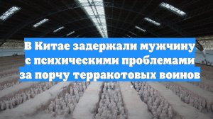В Китае задержали мужчину с психическими проблемами за порчу терракотовых воинов