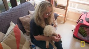 Border Collie Conundrum (Full Episode) | Operation Pet Rescue | Nat Geo Animals