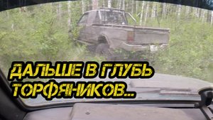 На разведку в глубь торфяников.Цена еще упала.