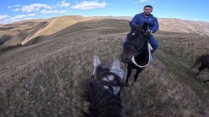 Хард покатушки на лошадях часть1