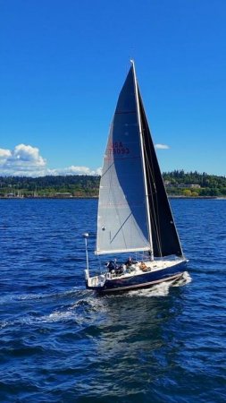 ⛵ Красота на воде: яхта с синем корпусом
Посмотрите на эту потрясающую парусную яхту с синим корпус