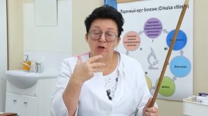 Как работать с диабетом 2 типа? [Шишова О.И.]