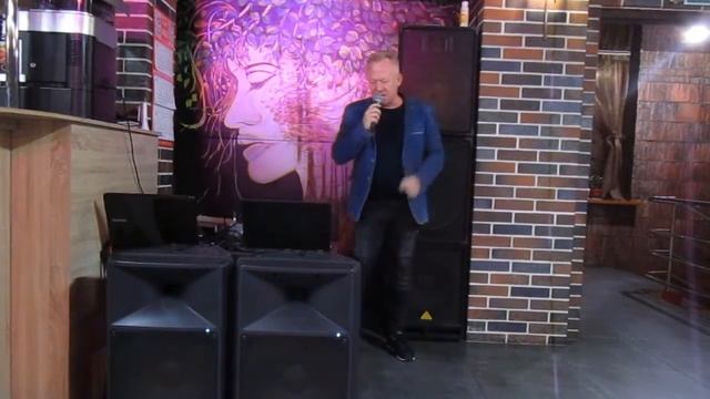 Сергей Савин - Лебеди смотреть онлайн