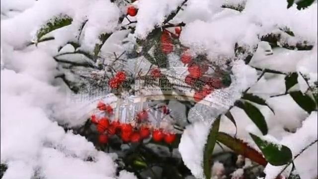 ОСКОЛКИ  АНАТОЛИЙ АВТОР ДОБРОВОЛЬСКАЯ смотреть онлайн