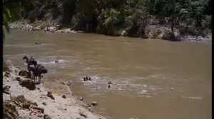 Золото Маккены