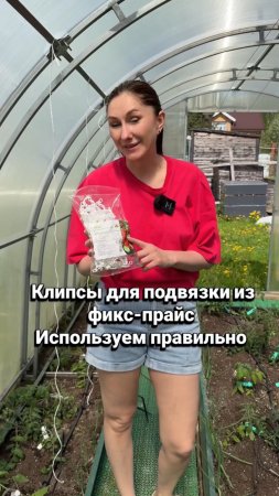 Клипсы для подвязки растений из фикс прайс.