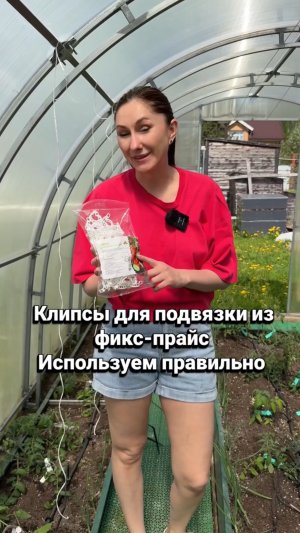 Клипсы для подвязки растений из фикс прайс.