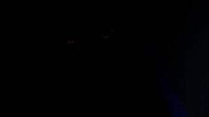 РАЗБОР KITTYLAND ROBLOX! *Разбор сюжета и теории*