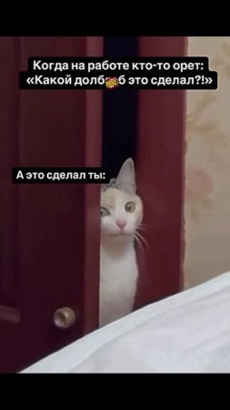 Нивеновин