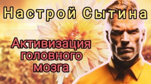 настрой Сытина активация головного мозга омоложение ?