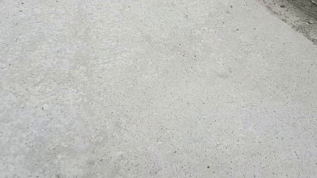 Мароккская саранча в феврале | Жизнь в Адлере смотреть онлайн