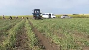 Скоба чеснок подкопка и сбор однозубки