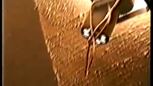 Научно-Электронное Музыкальное Объединение - Дебют смотреть онлайн