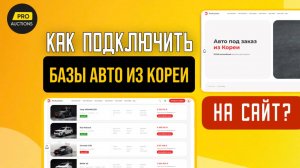 Базы авто из Кореи на Pro Auctions