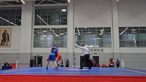 Ушу-саньда, Кирилл Пальченко, кр.  1/2, Чемпионат и первенство России 04.2025г г. Москва