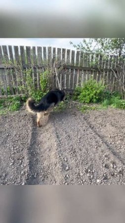 Только по тропинке)