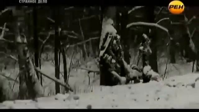 Люди икс эволюция. смотреть онлайн