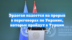 Эрдоган надеется на прорыв в переговорах по Украине, которые пройдут в Турции