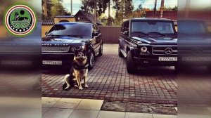 ❤ Бомба Песня Чеченская 2020 Новинка ❤ Супер Чеченская Музыка 2020 Нохчи Эшар