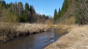 music for sleep / river / музыка для сна / река / звуки природы / пе?