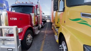 1 мая 2025 г. #travelvlog #truckusa #truckdriver #trucker #truck #trucks #trucking #usa