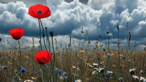 Доброе утро - Вот и лето пришло 🌞 #летнеенастроение