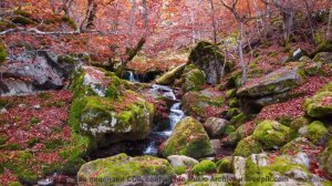 Видео, после которого вы станете другим человеком! - Somewhere Between Emotions -- Kirk Osamayo -- S
