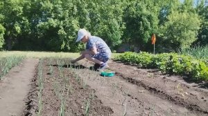 ЖИЗНЬ ПРОДОЛЖАЕТСЯ. НАШЛИ СЕБЕ РАБОТУ.