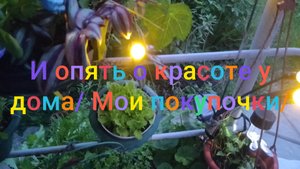 И опять красота у дома/ Мои покупочки/