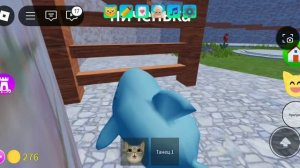 Способы получить деньги в игре с котятами Roblox