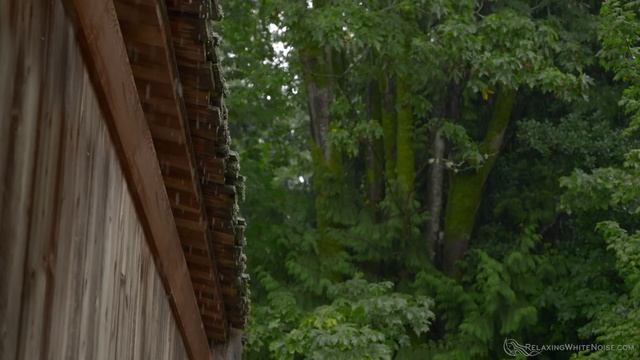 Sound of Rain for Sleep & Relaxation ️️ Rainstorm White Noise 10 Hours
