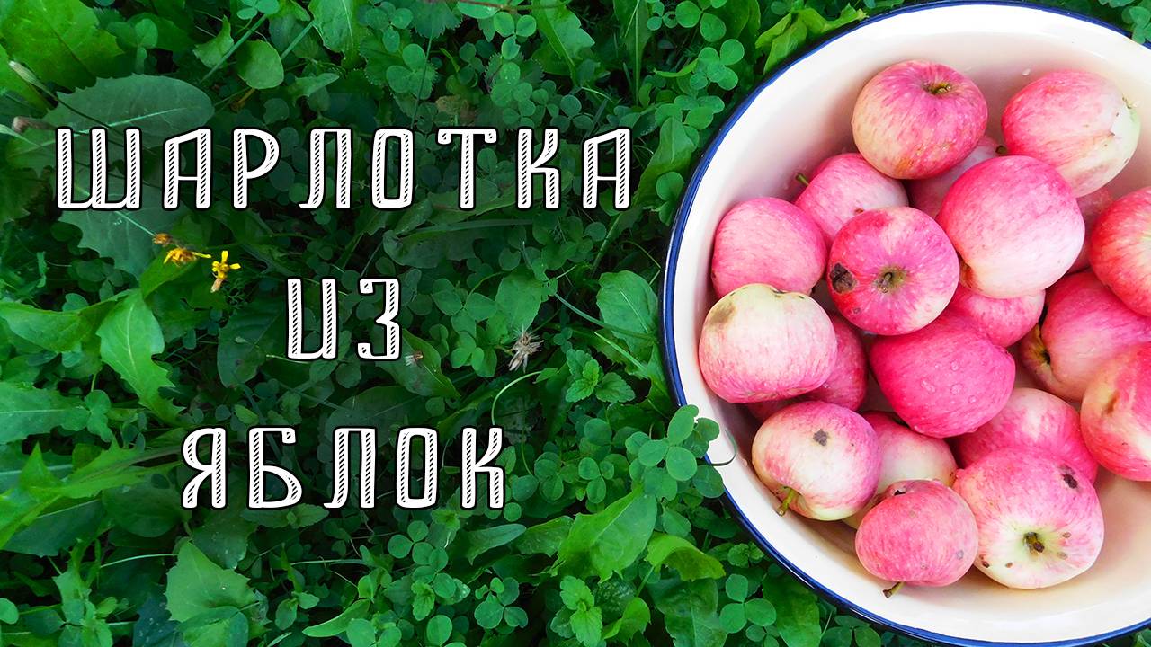Шарлотка с яблоками в духовке. Простой рецепт
