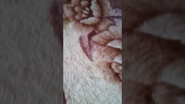 Маи игрушуи бен тен смотреть онлайн