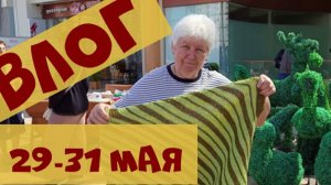 Встреча клуба 28 петель и котопледы