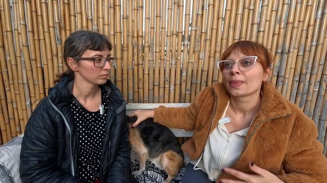 Интервью у сестры | Парикмахер-стилист | Буэнос-Айрес, ? смотреть онлайн