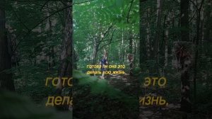 стиль продолжение вашей личности