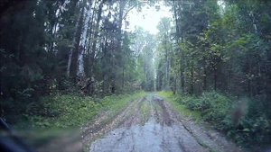 Нива БРОНТО 2024. Тяжелое бездорожье в лесу. Запись с рег