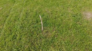 ОДИН МОЙ ДЕНЬ на Загородной Резиденции. Деревенские дела в конце мая 2025.