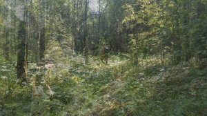 "Первым делом самолёты..." Поисковый ПВД на место круше?