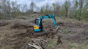 Расчистка участка