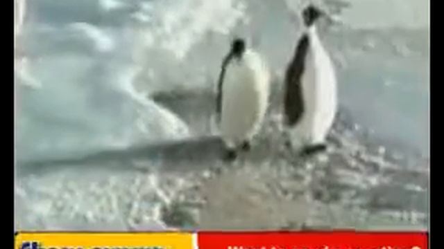 3 секунды и ржач