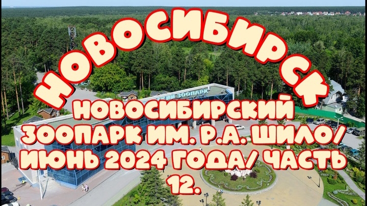 Новосибирский зоопарк имени Р.А. Шило. Июнь 2024 года. Часть 12.