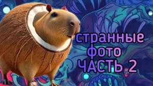 странные фото stendoff two ( часть 2 )