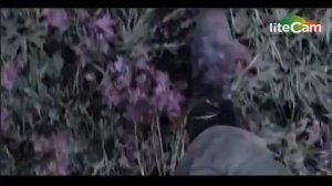 Битва за Севастополь